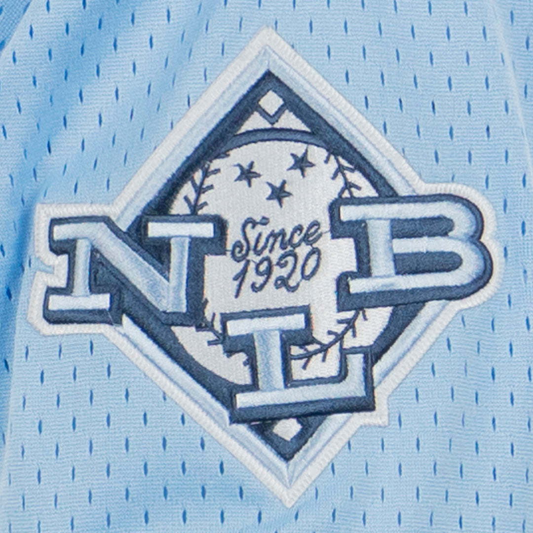 Negro League Allover Vintage Inspired NL Replica V-Neck Mesh Jersey - Light Blue product image 8, provided for visual