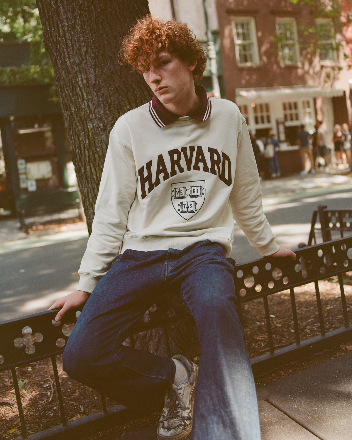 Harvard University Collard Crewneck Sweatshirt product image 3, provided for visual reference and product detail review