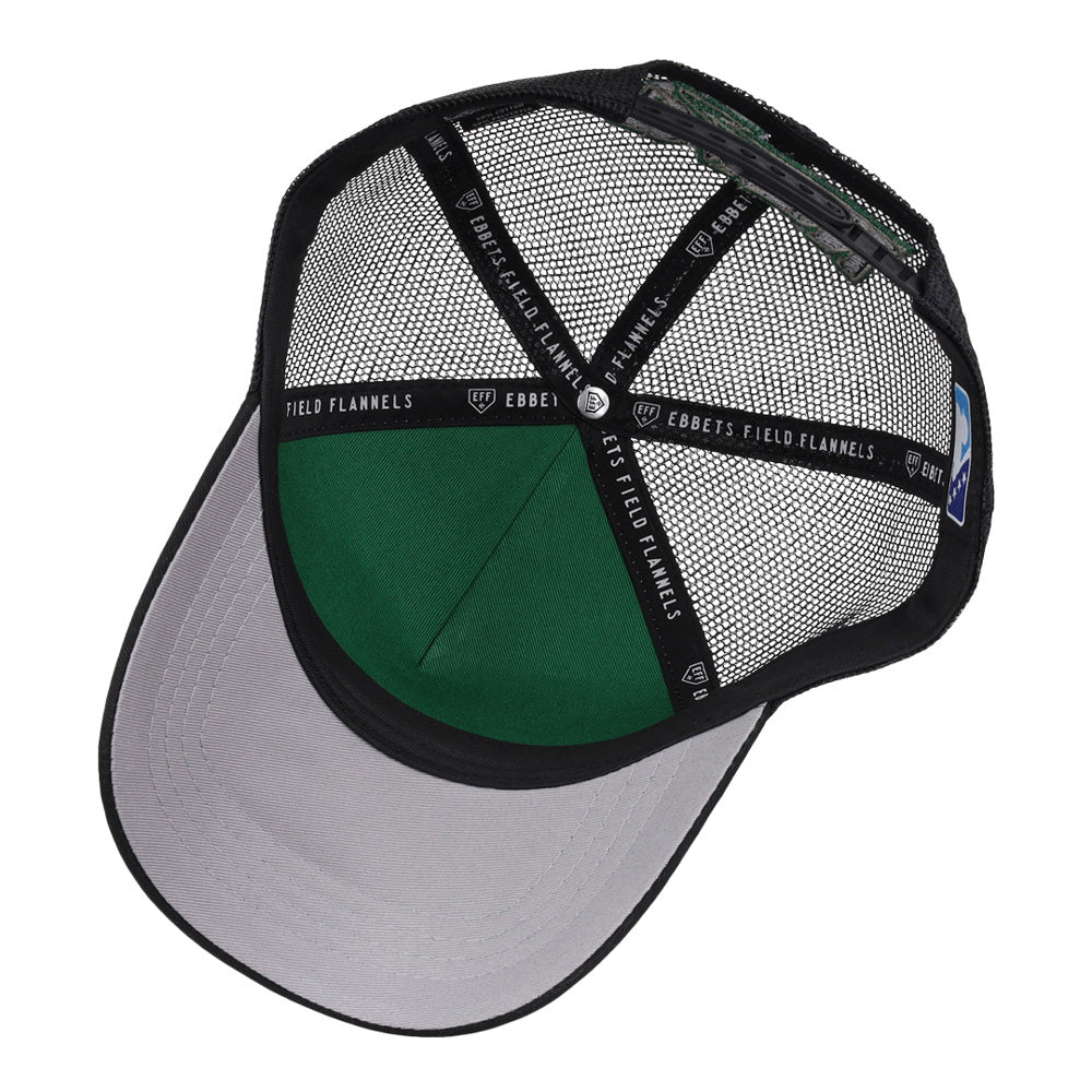 Dayton Dragons MiLB Trucker Ballcap product image 3, provided for visual reference and product detail review