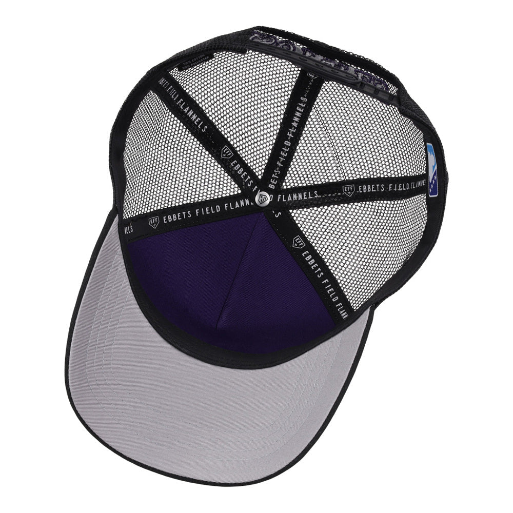 Albuquerque Isotopes MiLB Trucker Ballcap product image 3, provided for visual reference and product detail review