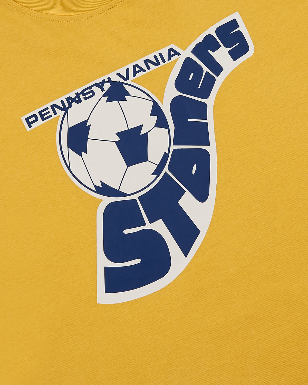 Pennsylvania Stoners Short Sleeve Graphic T-Shirt product image 3, provided for visual reference and product detail review