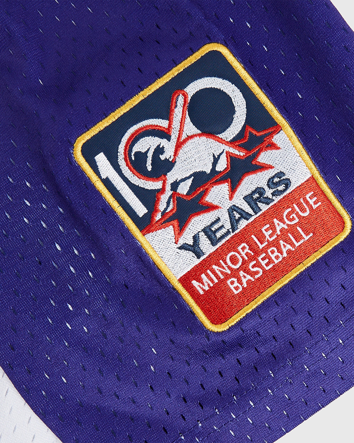 Randy Johnson El Paso Diablos Button Up Mesh Jersey product image 5, provided for visual reference and product detail review