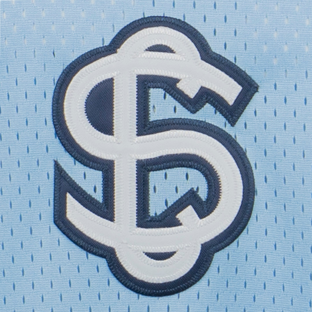 Negro League Allover Vintage Inspired NL Replica V-Neck Mesh Jersey - Light Blue product image 2, provided for visual