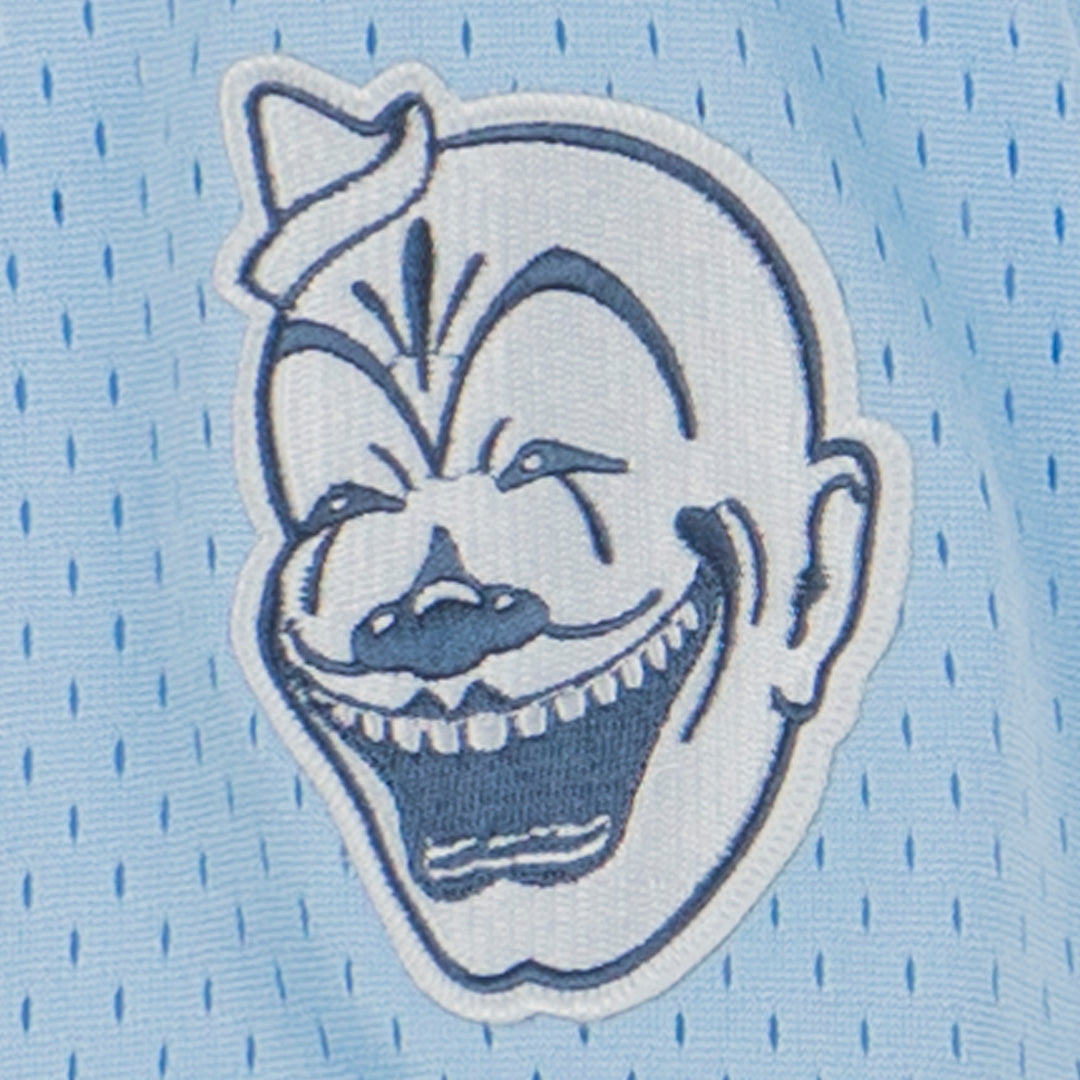 Negro League Allover Vintage Inspired NL Replica V-Neck Mesh Jersey - Light Blue product image 4, provided for visual