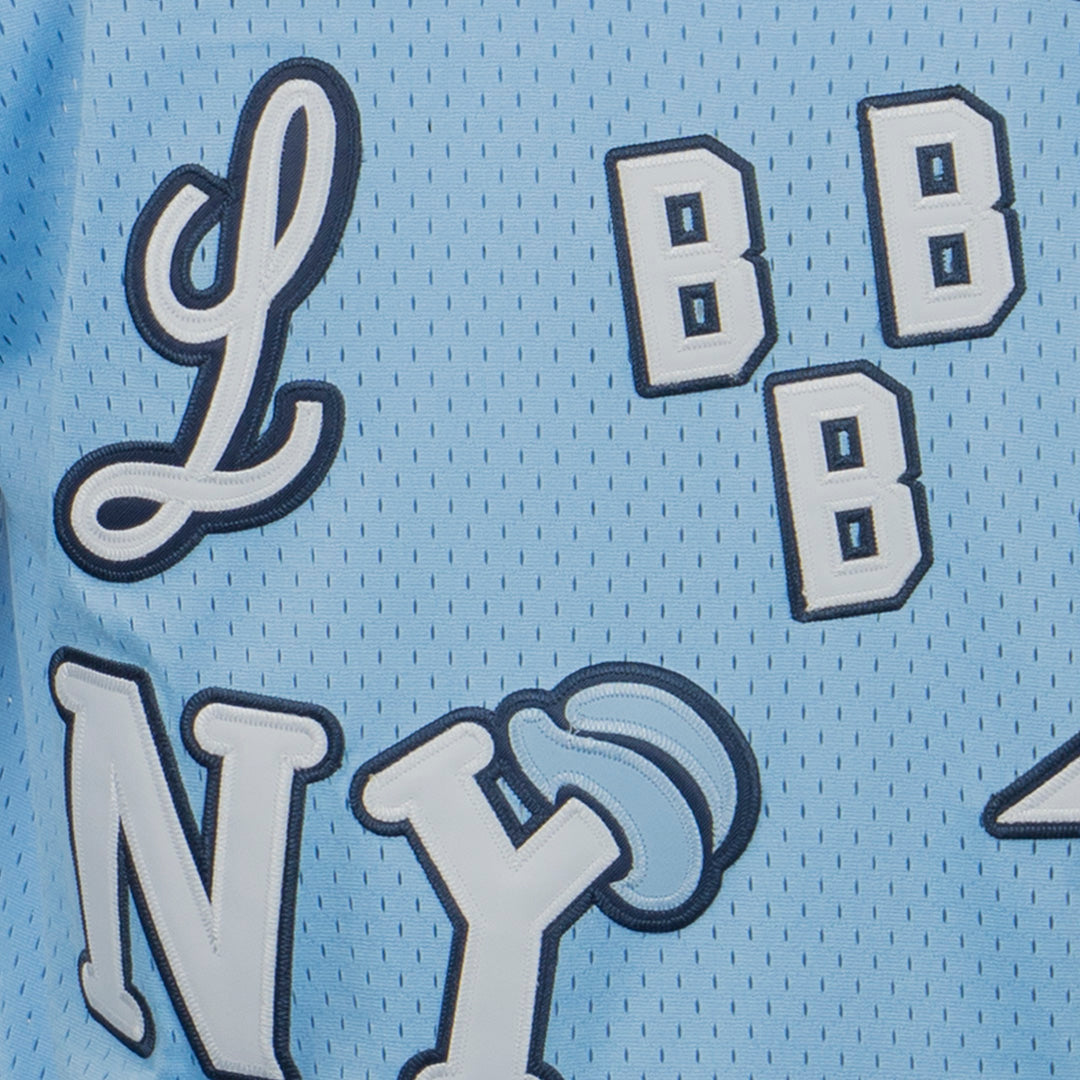 Negro League Allover Vintage Inspired NL Replica V-Neck Mesh Jersey - Light Blue product image 6, provided for visual