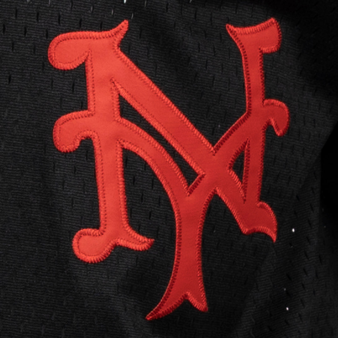 Negro League Allover Vintage Inspired NL Replica V-Neck Mesh Jersey - Black product image 2, provided for visual reference