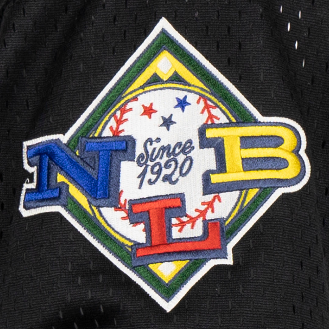 Negro League Allover Vintage Inspired NL Replica V-Neck Mesh Jersey - Black product image 6, provided for visual reference