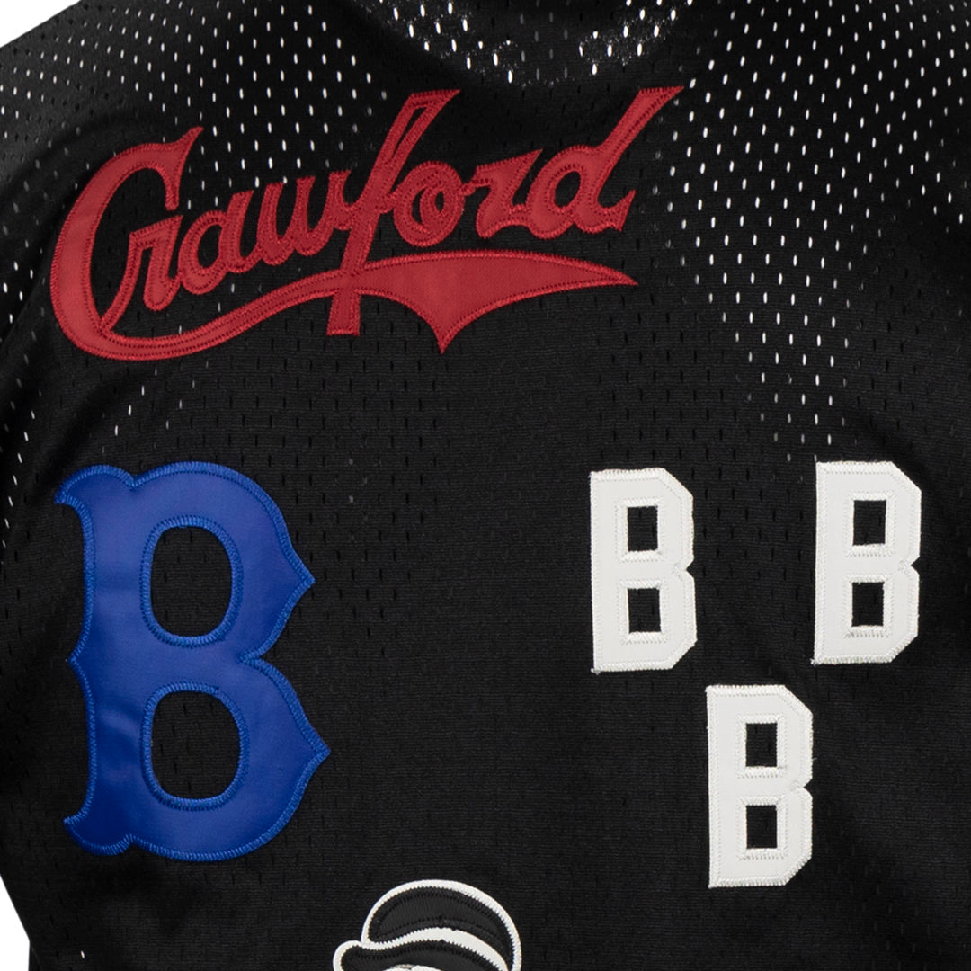 Negro League Allover Vintage Inspired NL Replica V-Neck Mesh Jersey - Black product image 8, provided for visual reference