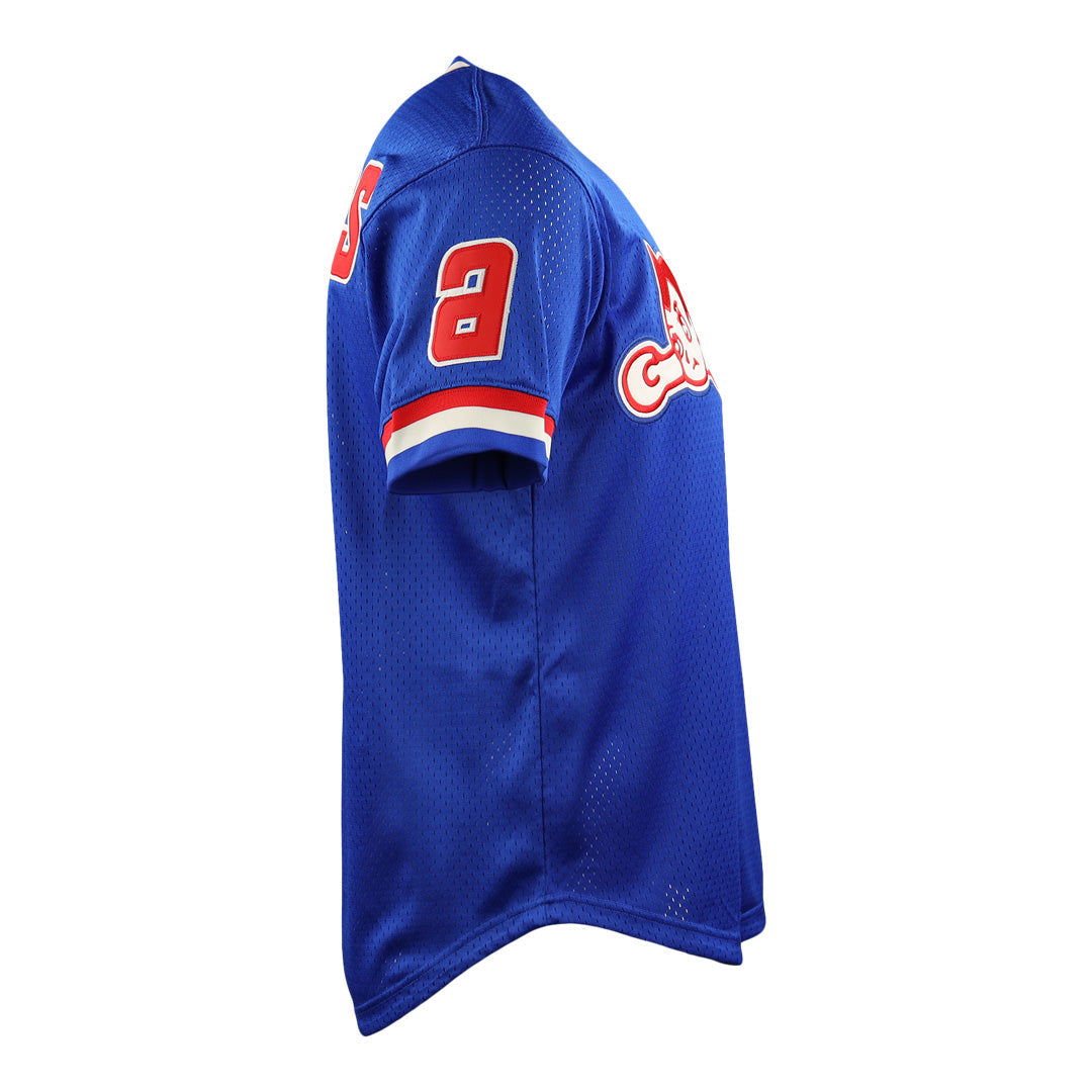 Sankei Atoms Replica V-Neck Mesh Jersey product image 6, provided for visual reference and product detail review