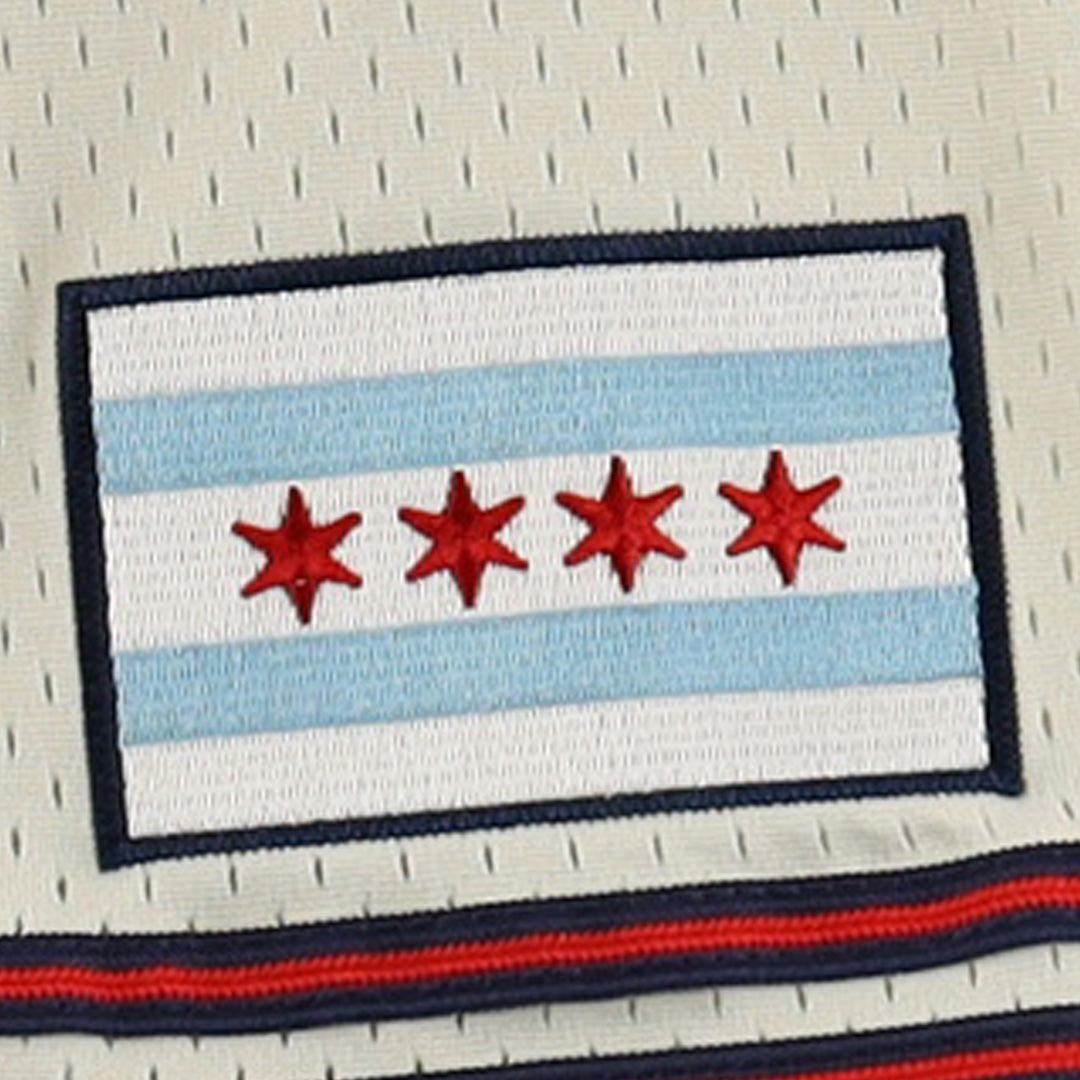 Chicago Whales EFF DNA Replica Button-Up Mesh Jersey product image 7, provided for visual reference and product detail review