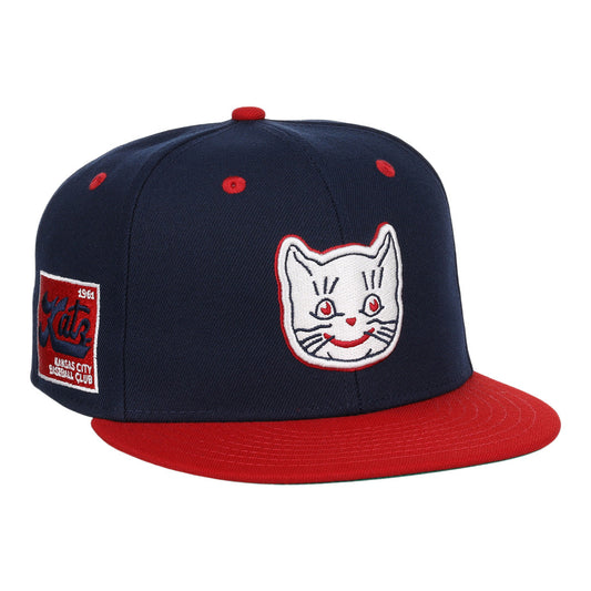 Kansas City Katz EFF DNA Fitted Ballcap product image 1, provided for visual reference and product detail review