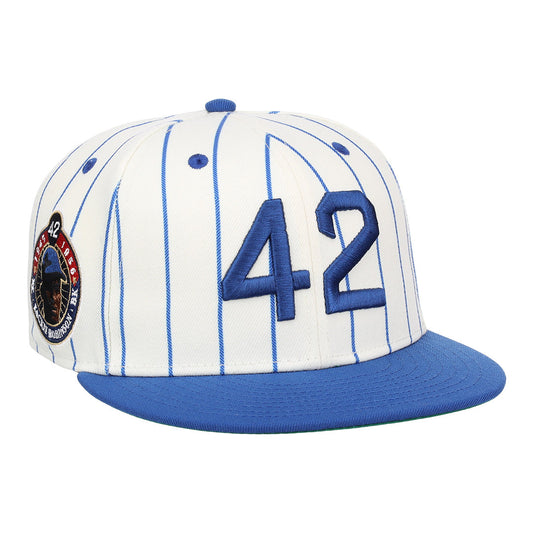 Jackie Robinson EFF Signature Series Fitted Ballcap - Pinstripe product image 1, provided for visual reference and product