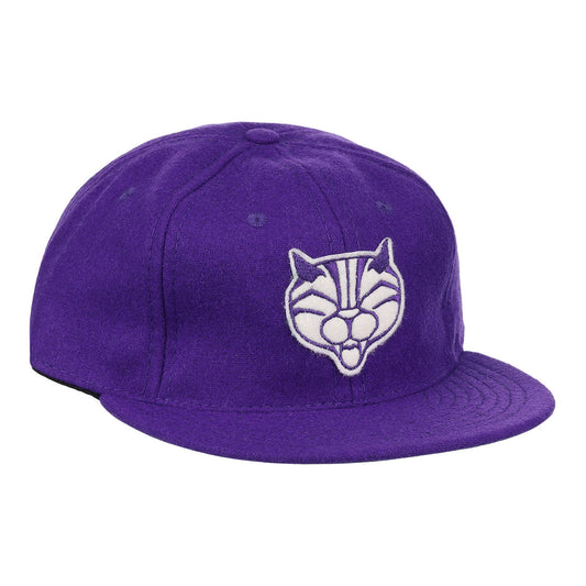 Northwestern University Mascot Vintage Ballcap product image 1, provided for visual reference and product detail review