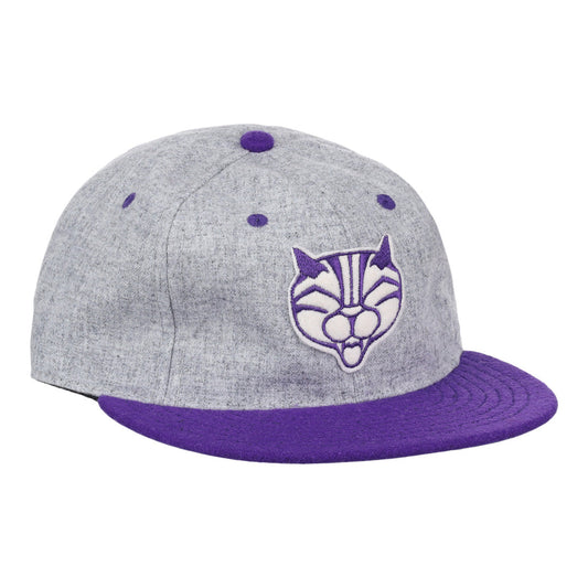 Northwestern University Mascot Vintage Ballcap - Gray product image 1, provided for visual reference and product detail