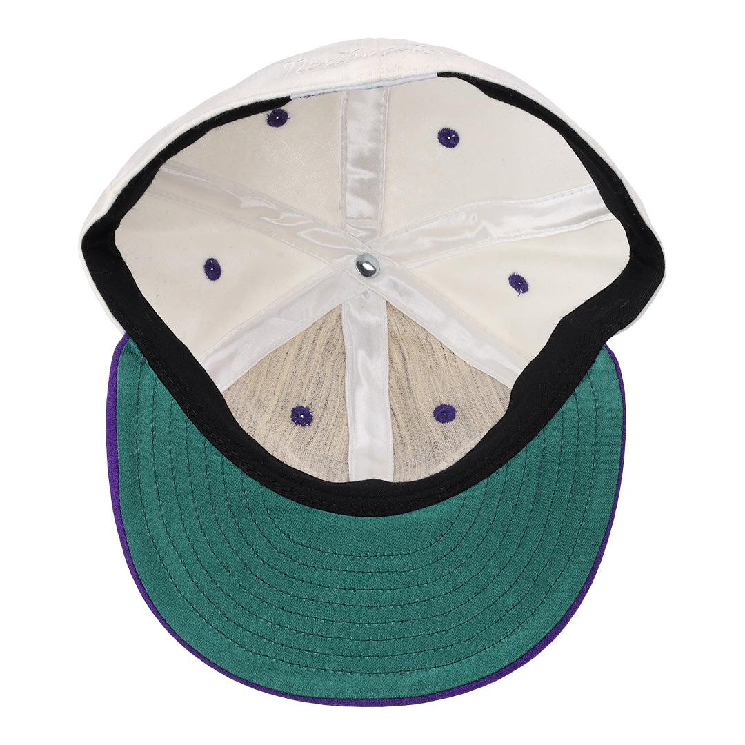 Northwestern University Vintage Ballcap product image 3, provided for visual reference and product detail review
