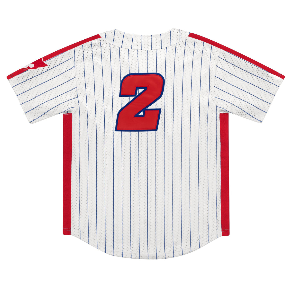 Sankei Atoms EFF Pinstripe Button Down Jersey product image 2, provided for visual reference and product detail review