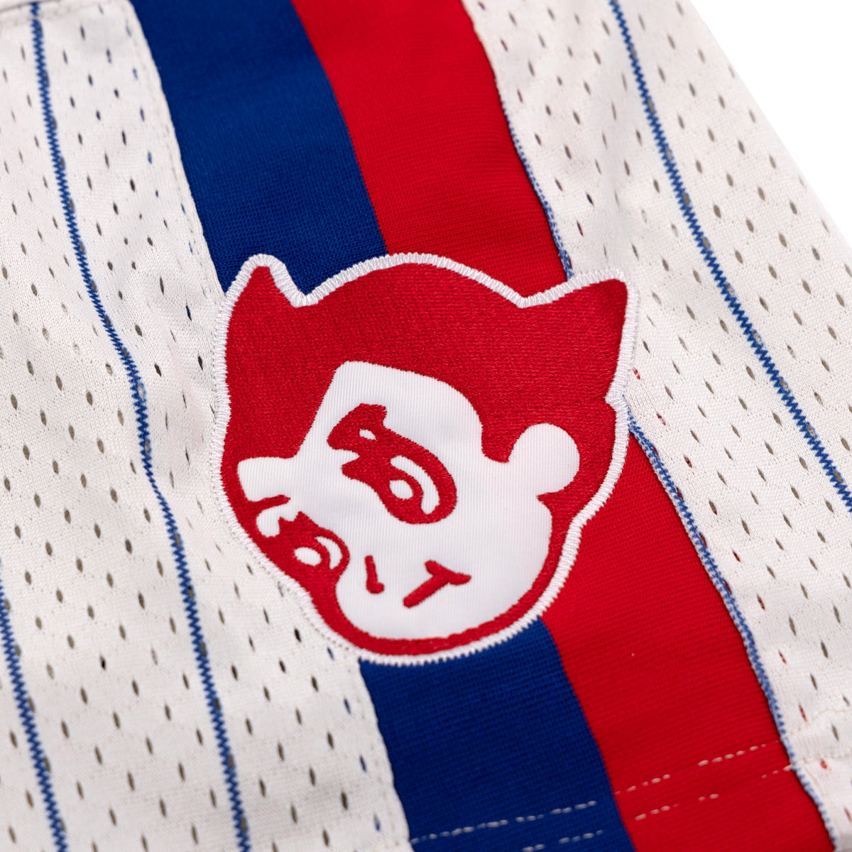 Sankei Atoms EFF Pinstripe Button Down Jersey product image 3, provided for visual reference and product detail review
