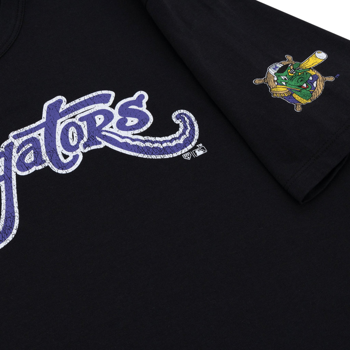 Norwich Navigators EFF MiLB Vintage T-Shirt product image 2, provided for visual reference and product detail review