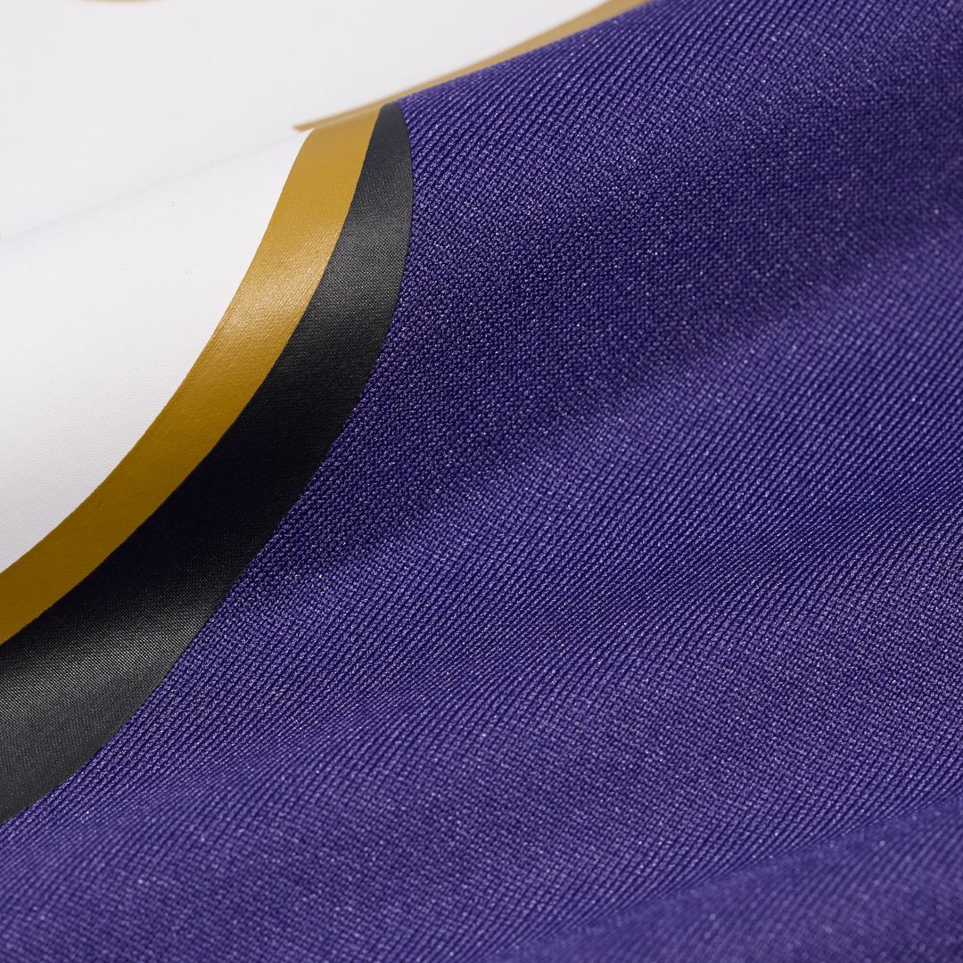 Baltimore Ravens Tony Siragusa Nike Purple Retired Player product image 5