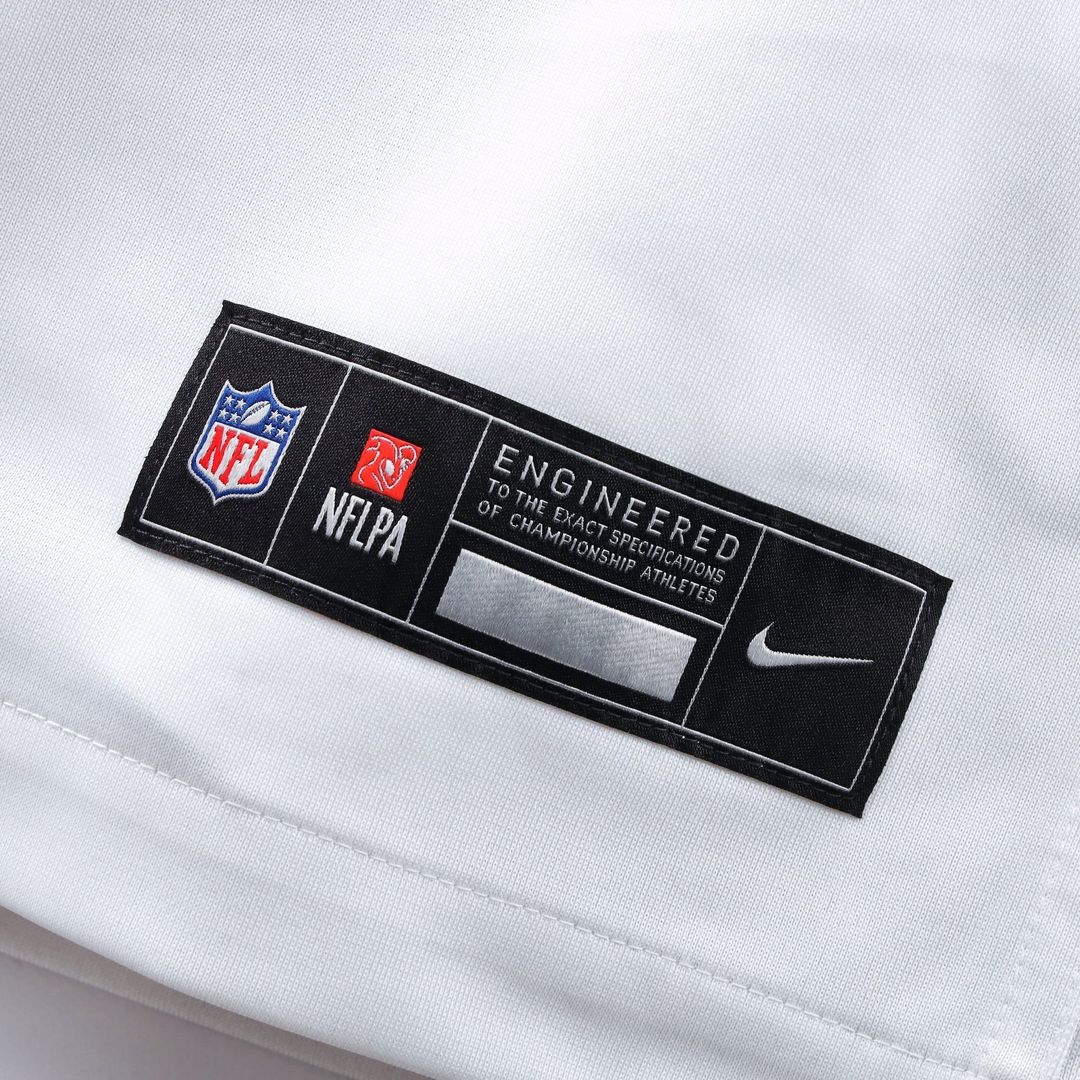 Washington Commanders Sean Taylor Nike Black Hail Raiser product image 27