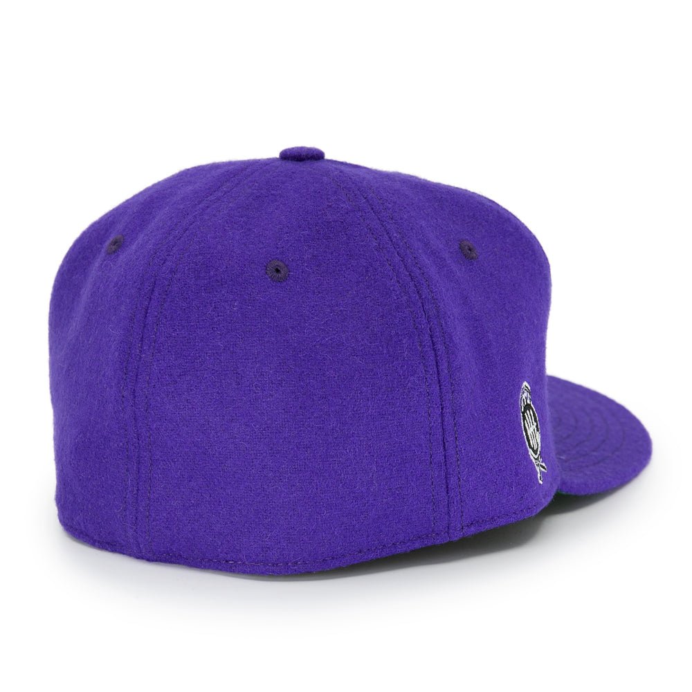 Cleveland Falcons 1936 Vintage Ballcap product image 5, provided for visual reference and product detail review