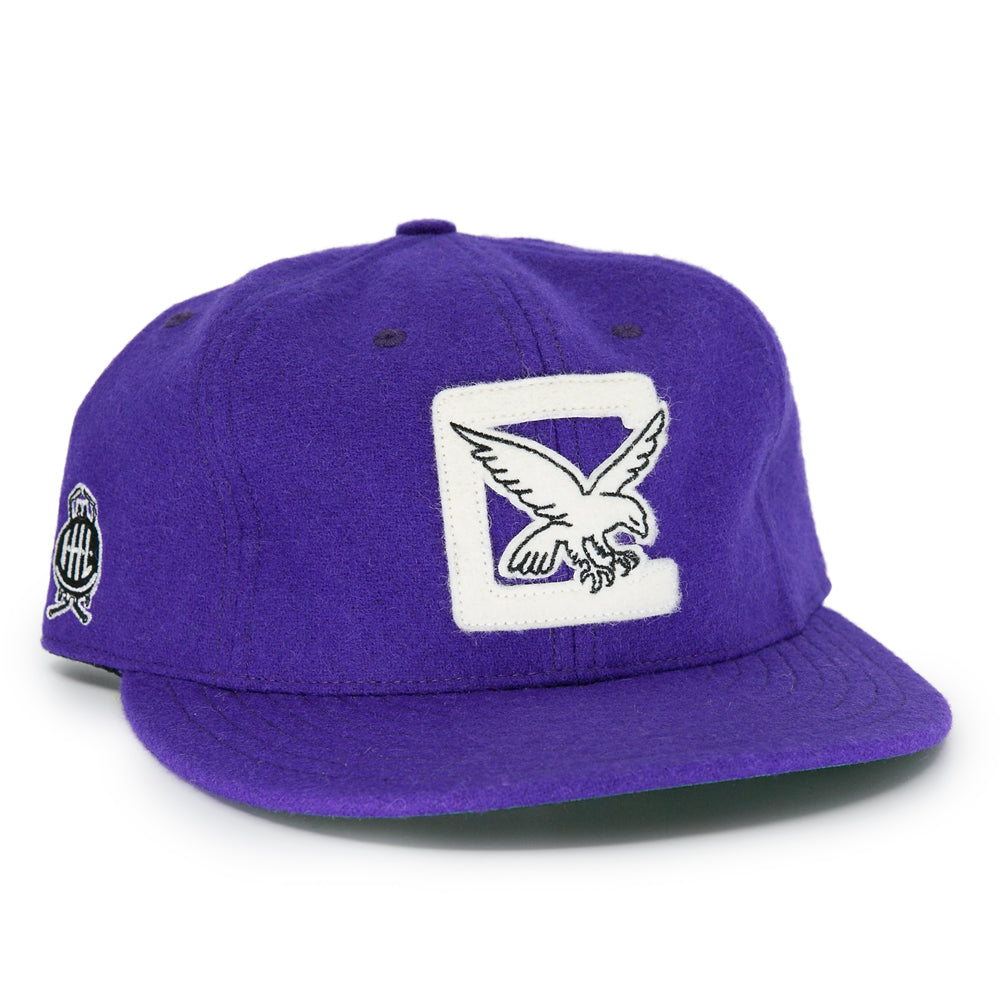 Cleveland Falcons 1936 Vintage Ballcap product image 1, provided for visual reference and product detail review