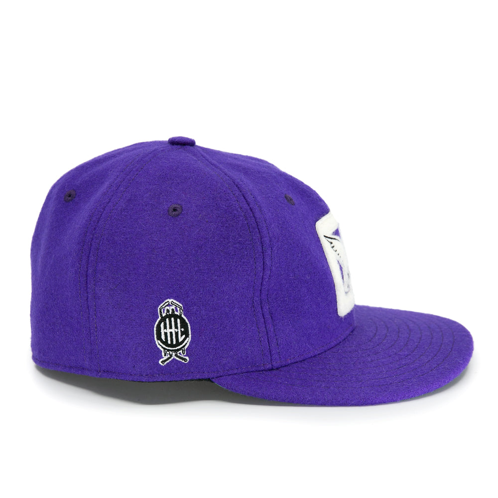 Cleveland Falcons 1936 Vintage Ballcap product image 4, provided for visual reference and product detail review