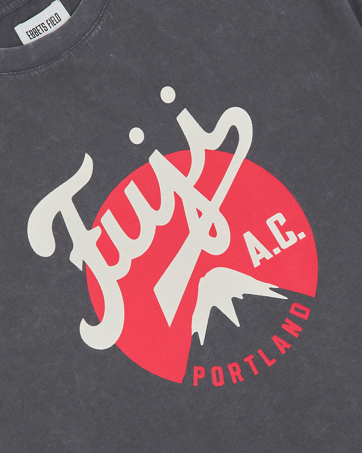 Fuji Athletic Club Pigment-Dyed Short Sleeve Graphic T-Shirt product image 4, provided for visual reference and product