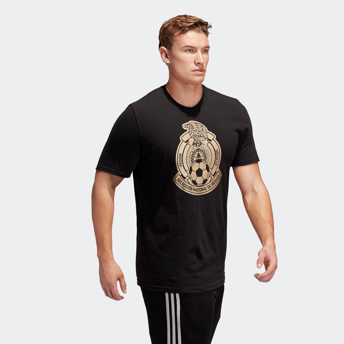 Mexico Amplifier SS T-Shirt - Black product image 2, provided for visual reference and product detail review